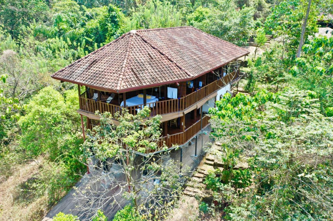 Wanakaset Forest Retreat Kitulgala Exterior foto
