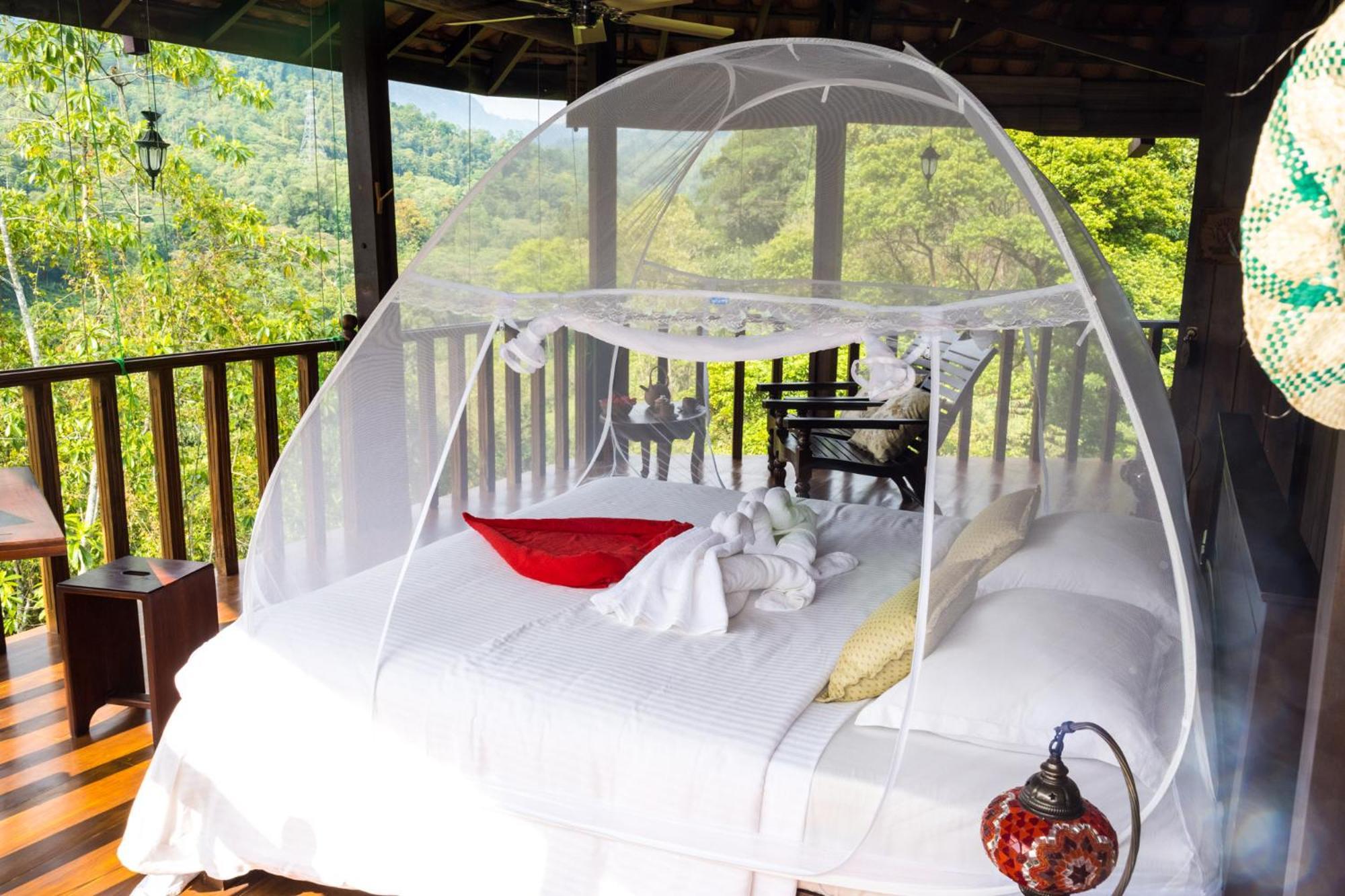Wanakaset Forest Retreat Kitulgala Exterior foto